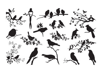 Birds vector, Birds clipart, Birds silhouette.