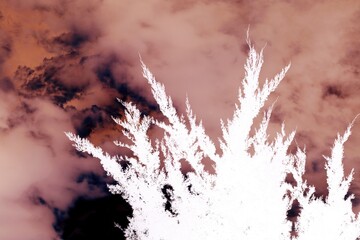 Tree growing in the fields in a deep red film negative