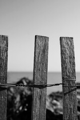 old wooden fence in black and white