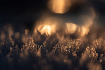 Sezon zimowy, zamarznięta woda, wzór na lodzie, zimowe tło trendy 2025.