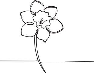 Vector Line Art of Daffodil Flower – Fresh Spring Design