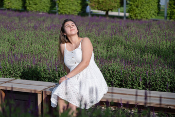Naklejka premium pretty young woman in white dress sitting at the sage flower field.