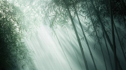 Serene bamboo forest with sunlight digital illustration for ads