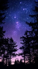 Naklejka premium Starry night sky over silhouetted trees