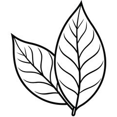 A stylized tea leaf logo in minimalist line art, with bold outlines and a subtle abstract touch to convey natural essence and simplicity.

