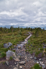 Varden viewpoint hiking trail views, fjord city of Molde mountain forests surrounded by ocean islands summer 2024, Norway Scandinavia Europe.