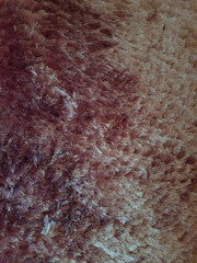 Soft shag carpet surface
