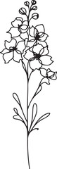 Elegant Delphinium Flower Illustration - Minimalist Line Art