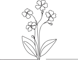 Stunning Forget-Me-Not Line Drawing Vector - Floral Art for Creative