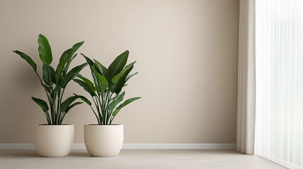 Indoor plant arrangement in modern living space minimalist design natural light serene atmosphere