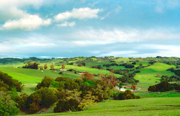 landscape with green fields and blue sky
