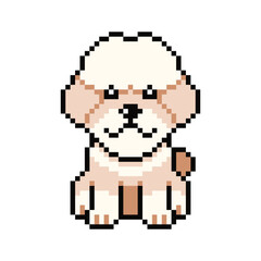 Pixel art cute poodle dog vector in retro style for design.
