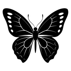 Black butterfly silhouette
