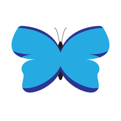 butterfly insect blue color icon vector