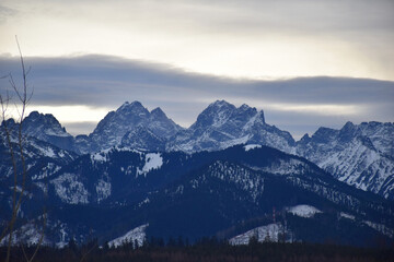 Snow-capped High Tatras peaks rise above a vast, lush green forest, creating a breathtaking contrast between the icy European mountain tops and the dense woodlands below. Rugged ridges and pine trees.