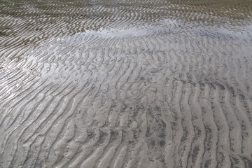 Rippled sand at low tide, with shallow water reflecting the sky. Unique patterns in sand create a textured, abstract view. Teluk Duyung, Penang National Park, Malaysia. Nature phenomenon. Natural art