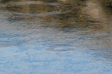 Round droplets of water over circles on the lake water. Water drop, whirl and splash. Ripples on sea texture pattern background. Fish get oxygen