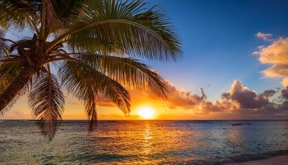 lovely vibrant sunset over the coco palm in barbados