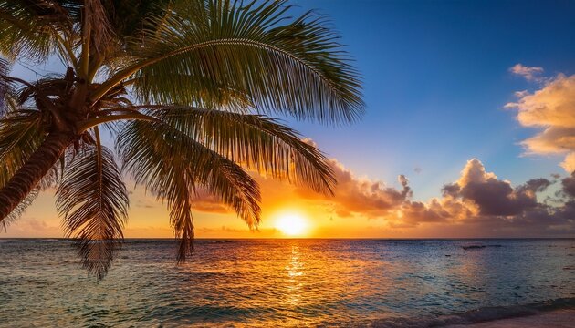 lovely vibrant sunset over the coco palm in barbados