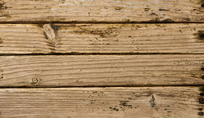 Old wood plank texture, full frame