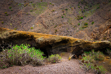 Blick auf die Insel Gran Canaria