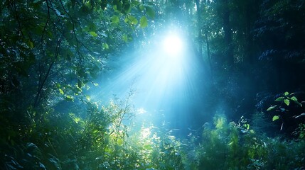 Ethereal spirit radiating a soft light in a dense shadowy forest