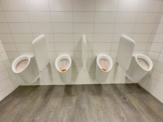 Clean Public Restroom with White Urinals at Zermatt Train Station