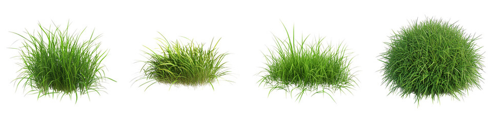 Patch of grass isolated on transparent background, Set of