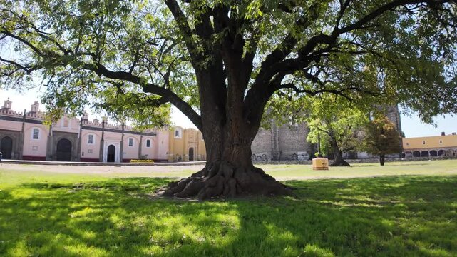 Exploring the historic beauty of Convent of San Gabriel Arc&aacute;ngel and Royal Chapel in Cholula