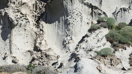 White stone, close-up, texture, Cane Malu