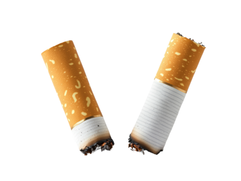 Isolated Broken Cigarettes on White Background