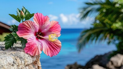 Pink hibiscus flower on tropical coast, ocean view
