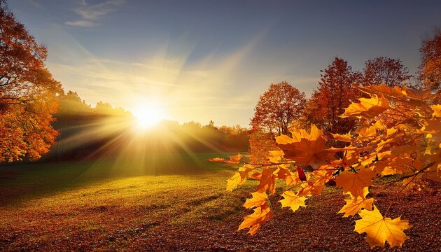 autumn fall summary autumnal history with colourful leaves and sunflares