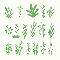 A collection of various green plant illustrations with abstract green shapes in the background. Minimalistic and modern botanical design