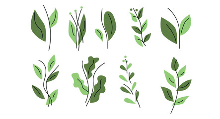 A collection of modern green plant illustrations with a minimalist and clean design. Includes leaves, stems, and natural shapes