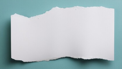 white torn paper isolated on background