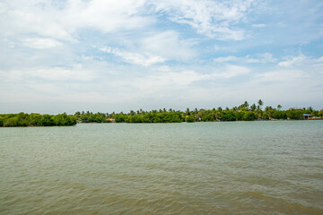 Encounter Sri Lanka’s Apes in Negombo: Wildlife Adventures on a Scenic Island Rich in Biodiversity and Natural Wonders