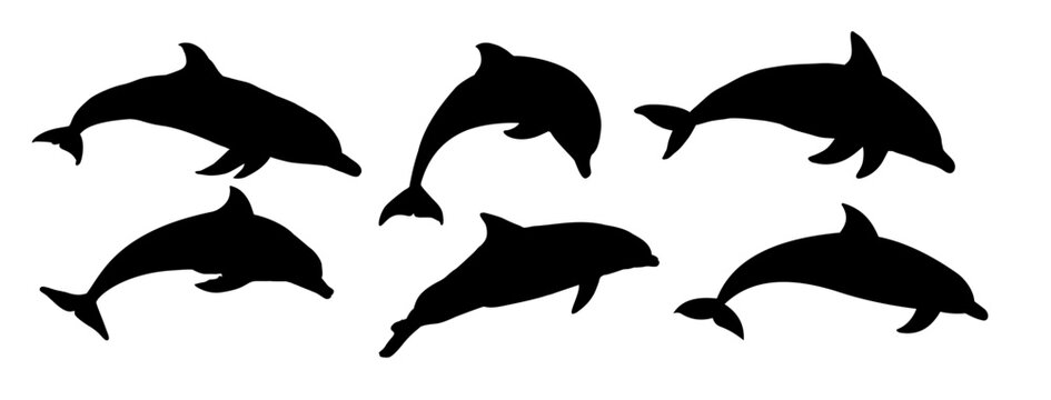 set of dolphin silhouettes - vector illustration