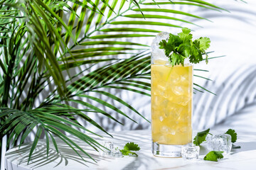 Tequila limeade alcoholic cocktail drink with blanco tequila, agave syrup, cilantro, jalapeno pepper, lime juice and soda. Marble table, white walls, palm leaves with shadow