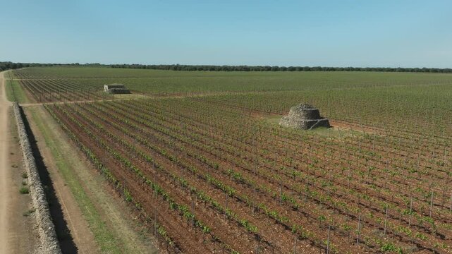 ORBIT AROUND 2 TRULLI IN THE MIDDLE OF A BARE VINEYARD BUDDING IN THE AERIAL SHOT