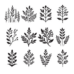 Fototapeta premium Branch Stylized Black and White with Leaves, plants and flowers 