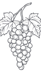 Obraz premium Minimalist Grapes Line Drawing for Coloring Book Illustration with Leaves and Stem