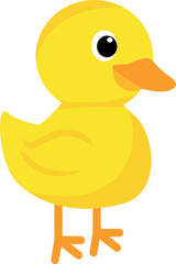 Cute and funny duckling