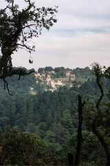Mountain Town in Mexico City. A view through the forest and hills out to Santa Rosa Xochiac