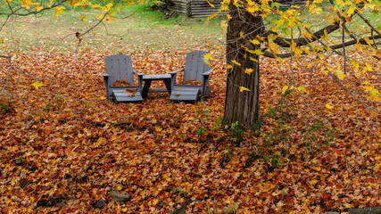 2 chairs under some trees surrounded by Autumn leaves