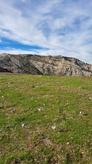 Rugged mountain landscapes meet serene pastures, where untamed beauty unfolds in perfect harmony with nature's raw spirit