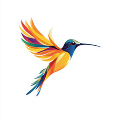 Fototapeta premium Colorful Hummingbird in Flight