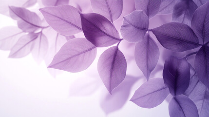 Beautiful purple leaves form a stunning pattern on a soft background in delicate light