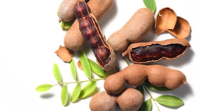 Tamarind fruit isolated on white background. Tamarind tropical pods with leaves rotating. Fresh Tamarind pods with leaves (Tamarindus indica, Indian date), healthy vegan food close up, from above 