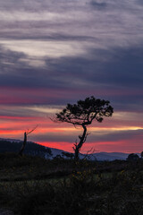 First full moon of the year 2025, the wolf moon!...I can still hear the howls!